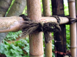 file0001835645749(1)