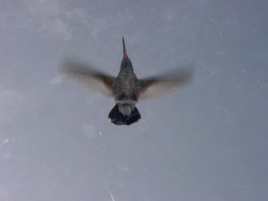 file0001815455590(1)