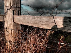 FenceDrama1