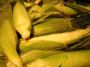 corn