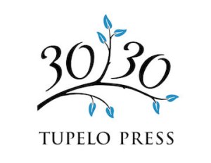 TP3030-logo-360